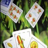 Dwonload Briscas Cell Phone Game